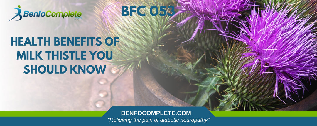 Health Benefits of Milk Thistle You Should Know - BenfoComplete