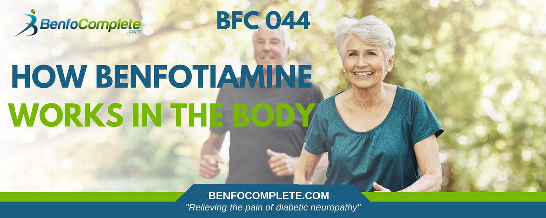 How Benfotiamine Works In the Body - BenfoComplete